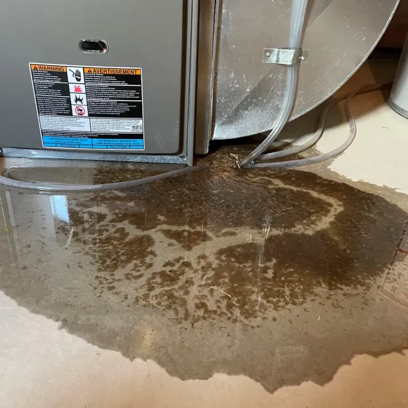 Appliance Leak Cleanup in Crenshaw County, AL